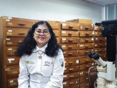 Reconocen a entomóloga de la UAT a nivel nacional