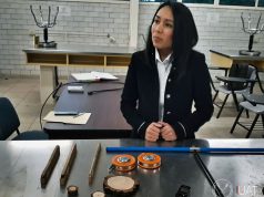 Estudian variaciones climáticas a través de la edad de los árboles