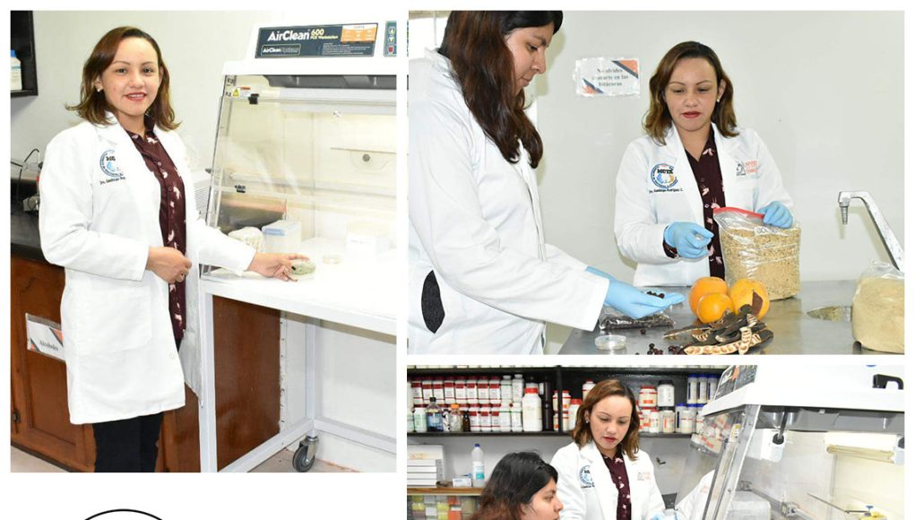 collage_24_feb_(residuos_de_sorgo)