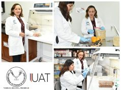 Elaboran de residuos del sorgo compuestos de utilidad industrial y alimenticia