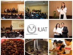 Celebra UAT aniversario de la licenciatura de nutrición