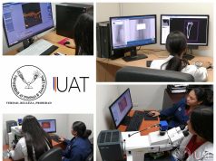 Desarrolla UAT investigación para el tratamiento de fibromialgia