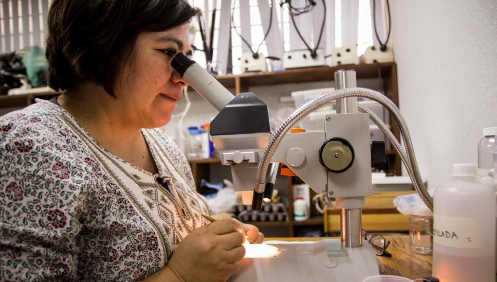 Foto_2_dra_martha_patricia_01_04_2020