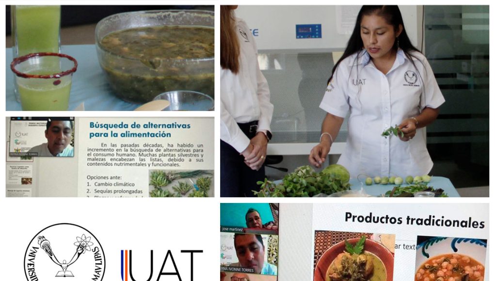 Verdolaga_collage_18_05_2020