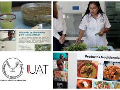 Fomentan uso y consumo de la verdolaga como alternativa alimenticia