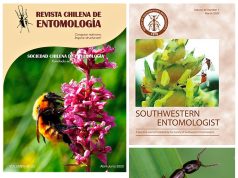 Colabora UAT en el conocimiento de la diversidad de insectos en México