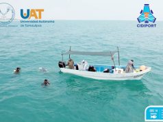 Descubre UAT Arrecife Rocoso Sumergido en la costa sur de Tamaulipas.