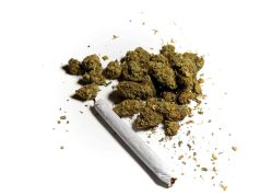 ¿El cannabis tiene fecha de caducidad? Podría provocar problemas de salud