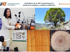 Científicos de la UAT reconstruyen la historia de sequías y cambios climáticos