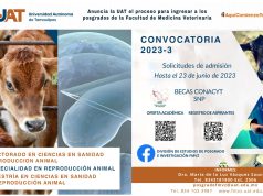 Anuncia la UAT el proceso para ingresar a los posgrados de la Facultad de Medicina Veterinaria