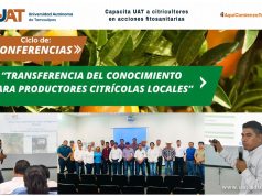 Capacita la UAT a citricultores en acciones fitosanitarias