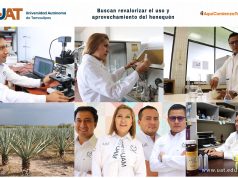 Buscan revalorizar el uso y aprovechamiento integral del henequén