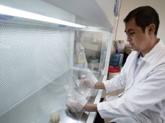 Estudia la UAT nuevos compuestos en especies de insectos comestibles