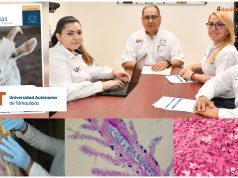 La UAT lanza la primera edición de la revista Ciencias Veterinarias y Producción Animal
