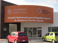 Hospital veterinario de la UAT ofrece servicios de calidad a bajo costo