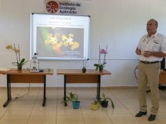 Promueve UAT el cultivo y conservación de orquídeas