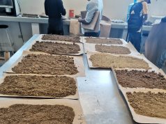 Desarrolla la UAT un proyecto para evaluar los residuos contaminantes de agroquímicos en el suelo