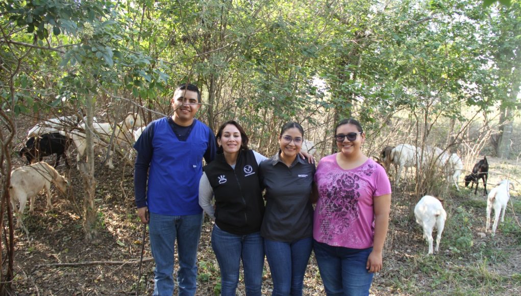 WhatsApp Image 2024-02-09 at 16.08.45