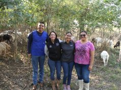 Analiza UAT innovaciones de mejoramiento para la producción caprina