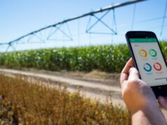 Internet satelital, la tecnología que fortalece la resiliencia de comunidades rurales