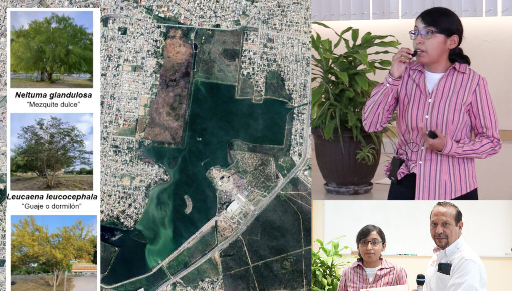 Analiza la UAT el uso