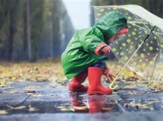 Cómo lograr una planificación avanzada ante la temporada de lluvias 2024