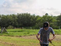 Pondrá la UAT en adopción héroes caninos