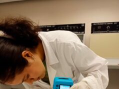 Analizan potencial antioxidante de la cáscara de pitaya