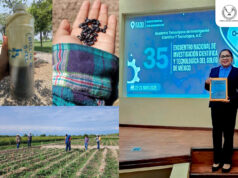 Elabora estudiante de la UAT bioherbicida para cultivos de frijol