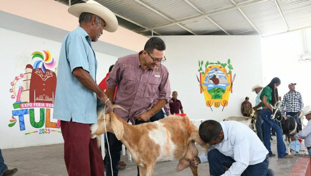 SRU-076-2025.-Fortalecen-el-sector-caprino-en-Tula-con-muestra-regional-2