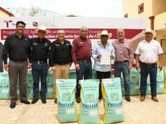 Reciben semilla de maíz productores del municipio de Tula