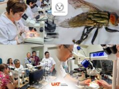 Colabora la UAT en medidas preventivas contra el gusano barrenador